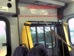 bluebird_cs_lift