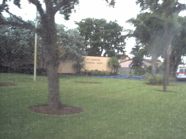 Leave it to a society-fearing goth like myself to find crap like this.
Ok, here goes spackliness...
If Fluffy has recently departed, you may be wondering where  your dearly beloved pet can experience the best possible afterlife possible. Well, friend, look no farther than the Pet Heaven Memorial Park.