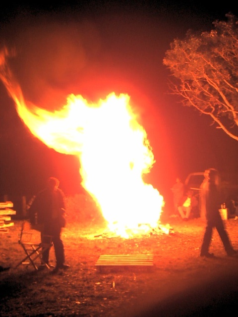 Some post-Christmas fireworks -- ever wonder what a dried up Christmas tree looks like thrown on a bonfire? Toss it on and RUN...
