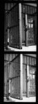 cage doors, on some ridiculously tiny cages