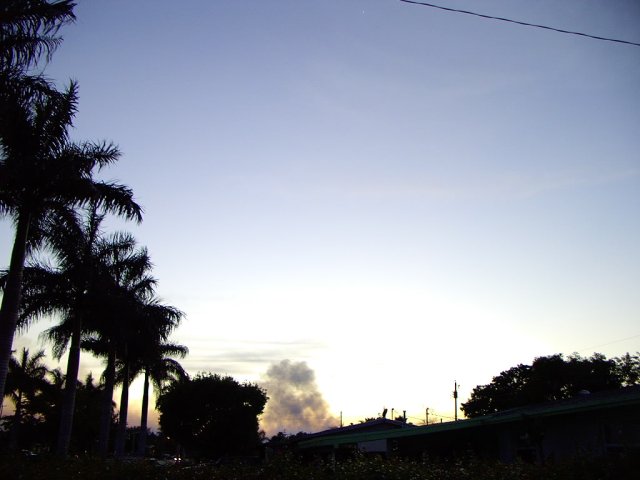img 0038