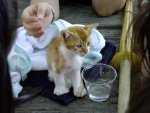 DANGER: CUTENESS. (Note the front paws... yep! Six-toed! Wheeee!)