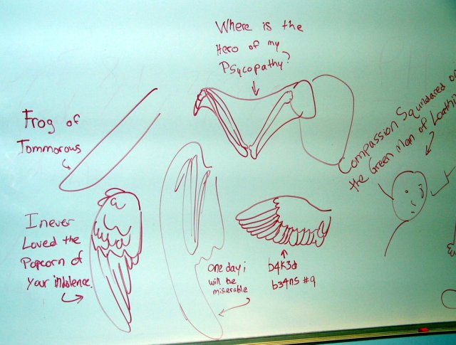 Wing studies, also amusingly named.
