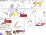 catfaqs