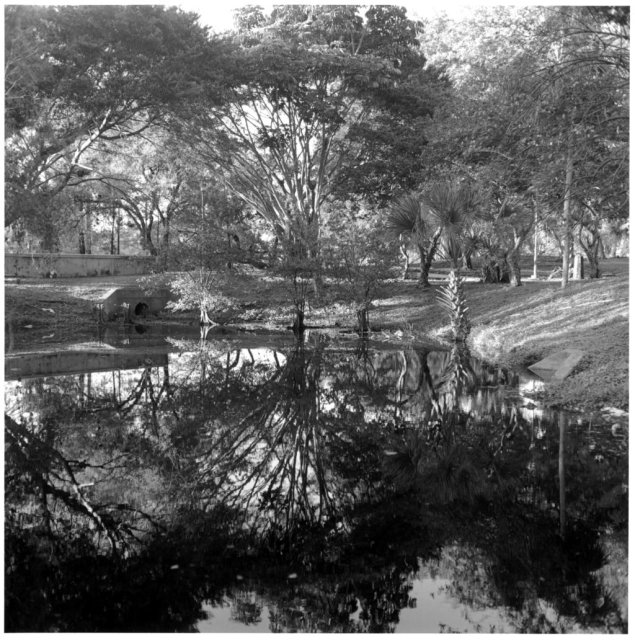 lakereflection