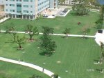 Public Disservice Announcement: Just because you CAN drive golf carts across the grass does not mean you SHOULD.