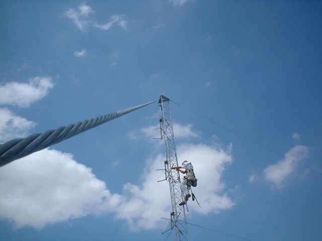 Looking up a guy wire. Why? Because I could.