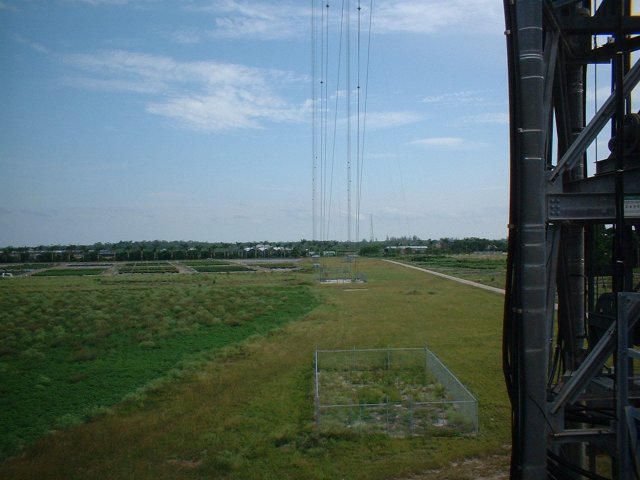 Looking out into the field with one of the sets of guy cables.