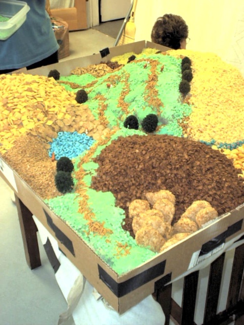 Cereal landscape, close-up
