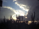 sunset_over_tropical_park