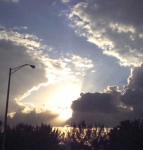 sunset_over_tropical_park_2